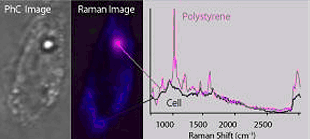 面掃描共聚焦拉曼系統(tǒng)